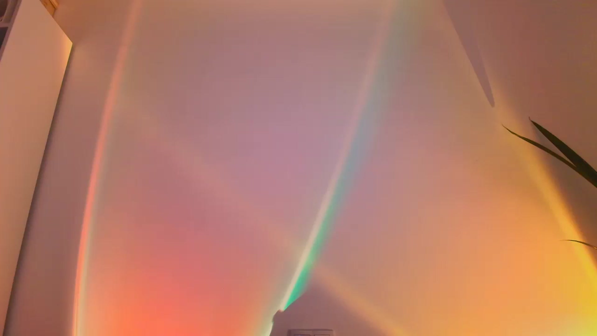 Gallery image thumbnail from fresagirl's myfreecams stream on, 10/15/2025, 20:14 image 6 of 20