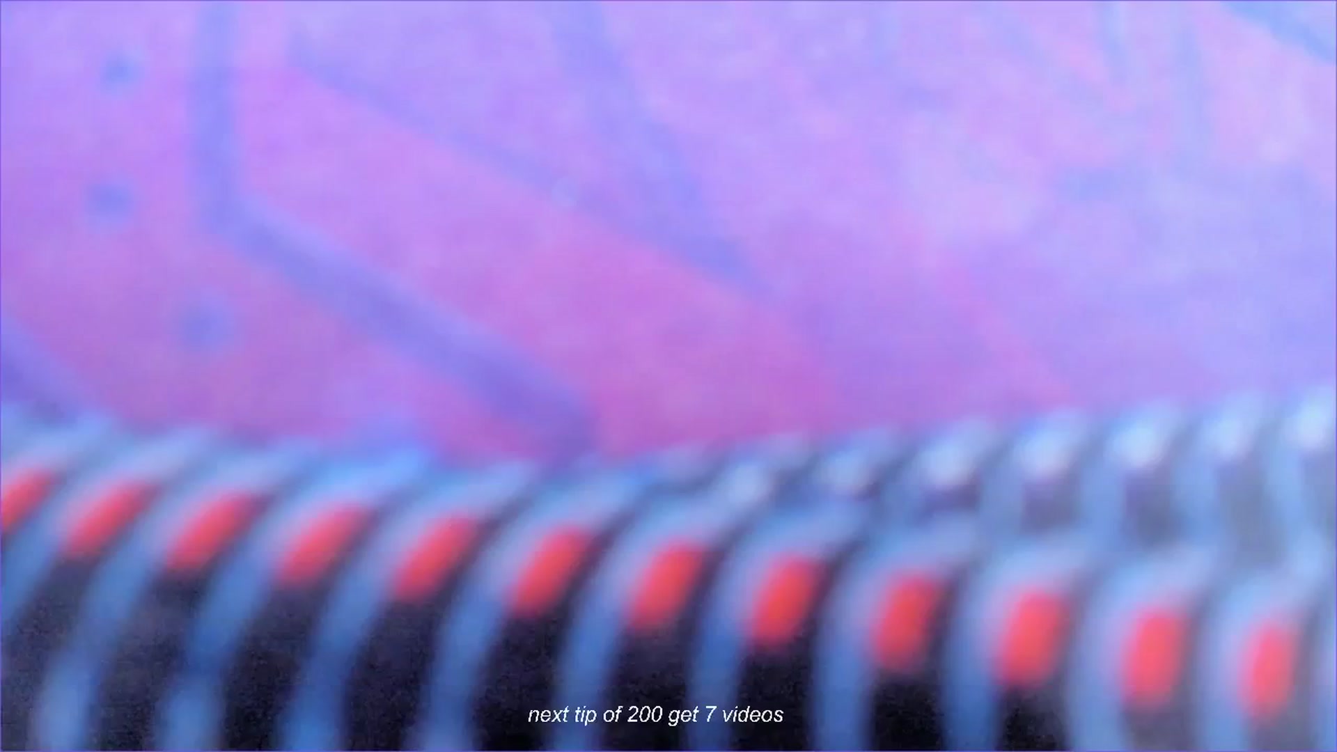 Gallery image thumbnail from fun_for_cash's myfreecams stream on, 06/16/2024, 16:34 image 6 of 20
