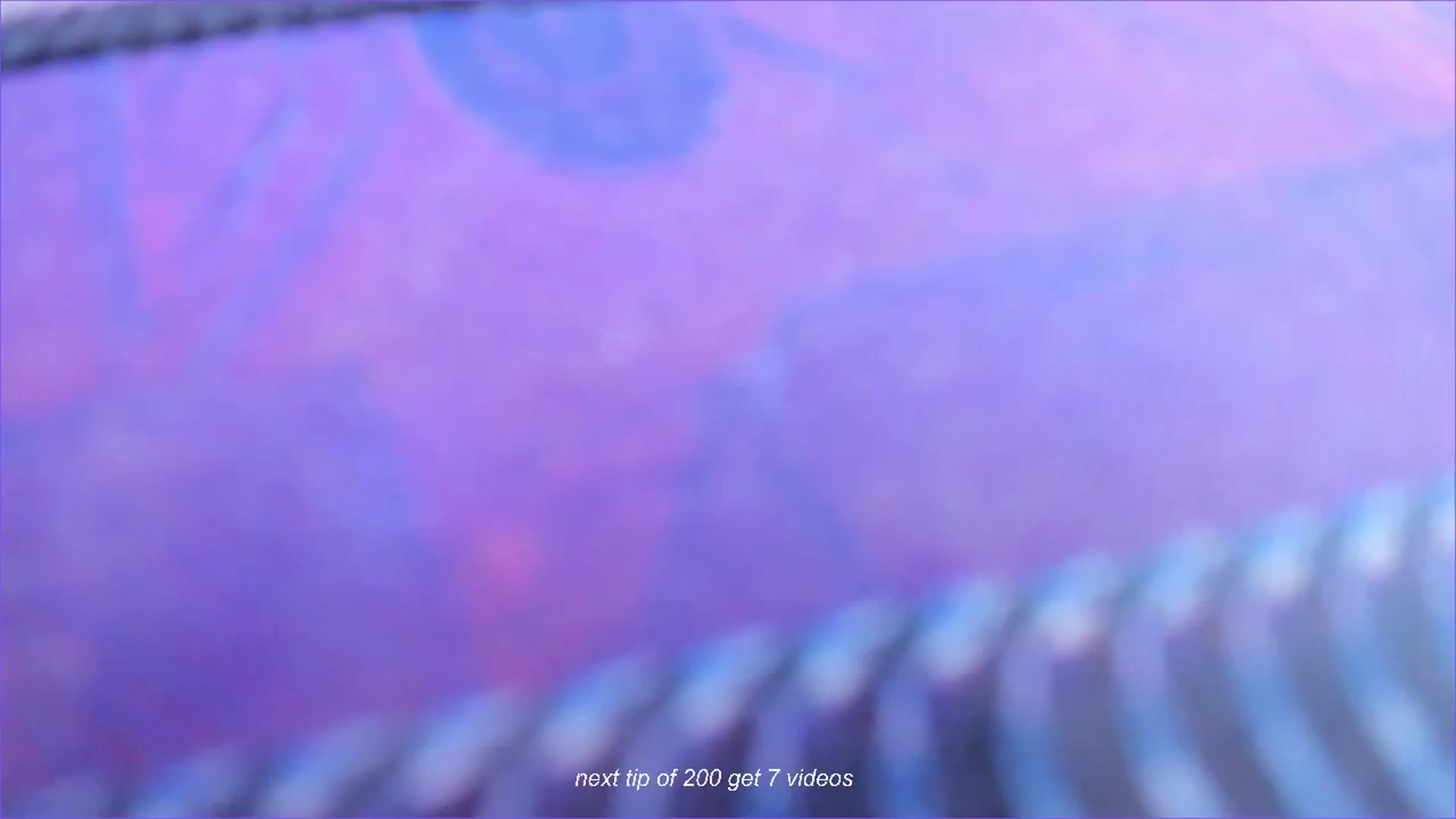 Gallery image thumbnail from fun_for_cash's myfreecams stream on, 06/16/2024, 23:00 image 2 of 20