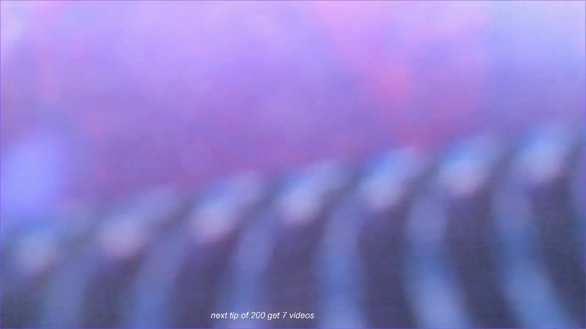 Gallery image thumbnail from fun_for_cash's myfreecams stream on, 07/24/2024, 19:31 image 14 of 20