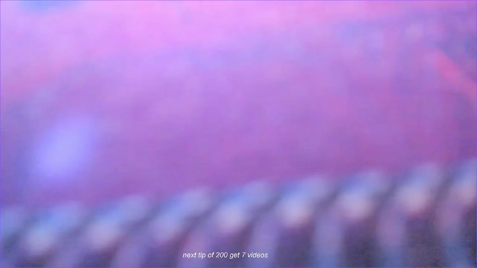 Gallery image thumbnail from fun_for_cash's myfreecams stream on, 08/15/2024, 16:29 image 12 of 20