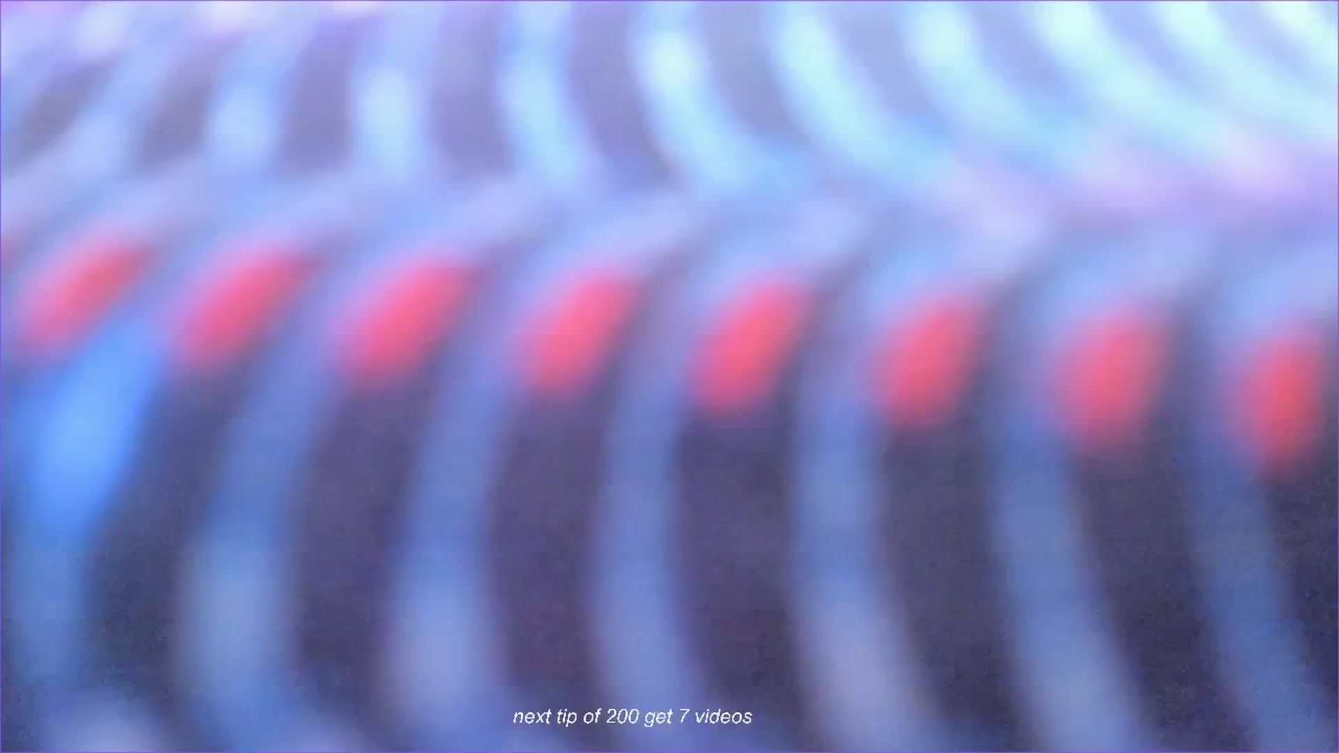 Gallery image thumbnail from fun_for_cash's myfreecams stream on, 08/15/2024, 18:38 image 17 of 20