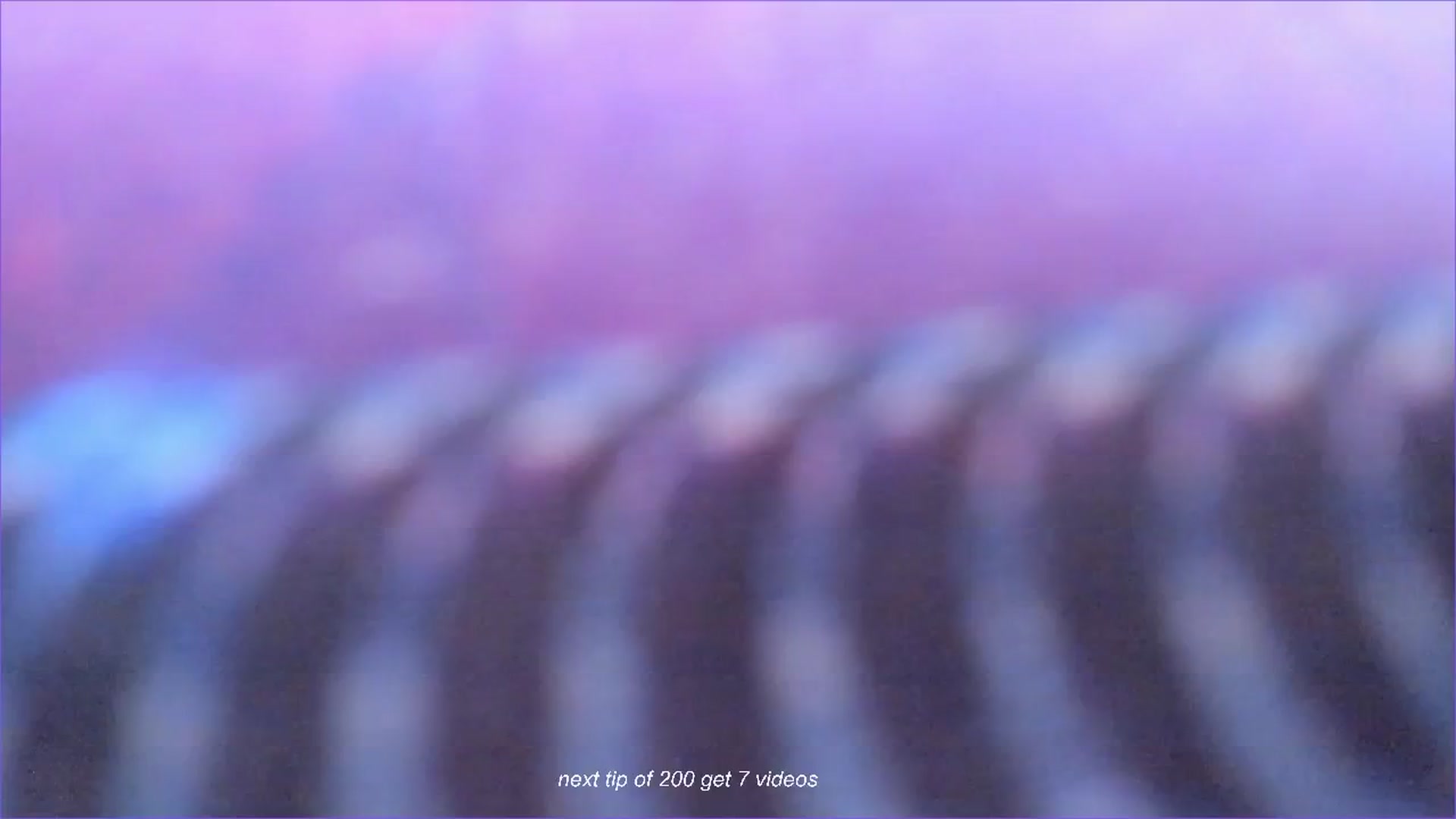 Gallery image thumbnail from fun_for_cash's myfreecams stream on, 08/16/2024, 17:06 image 7 of 20
