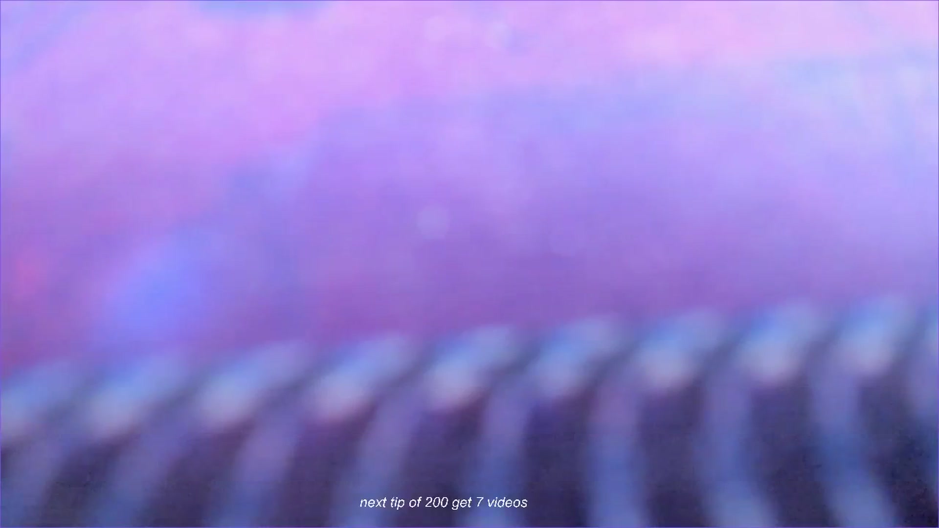 Gallery image thumbnail from fun_for_cash's myfreecams stream on, 08/17/2024, 17:55 image 8 of 20