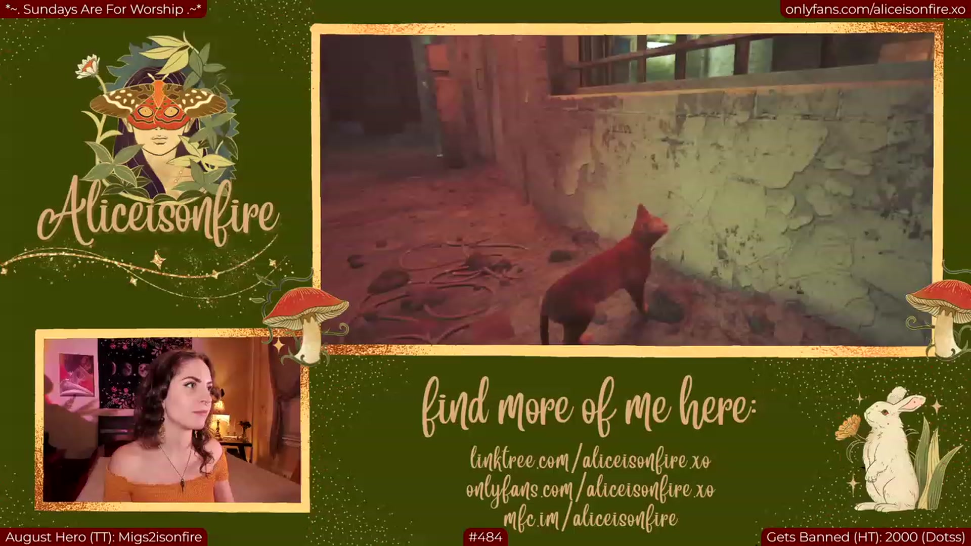 Gallery image thumbnail from girl_dinner's myfreecams stream on, 08/15/2023, 04:33 image 18 of 20