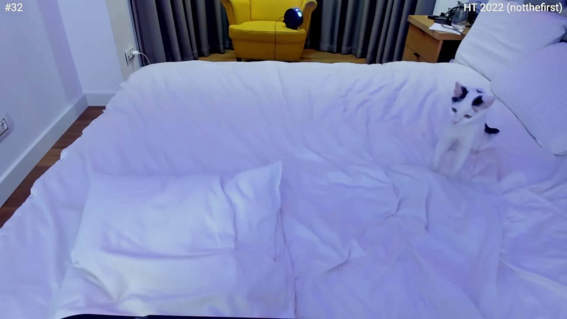 Gallery image thumbnail from girlboss's myfreecams stream on, 12/08/2022, 19:56 image 18 of 20