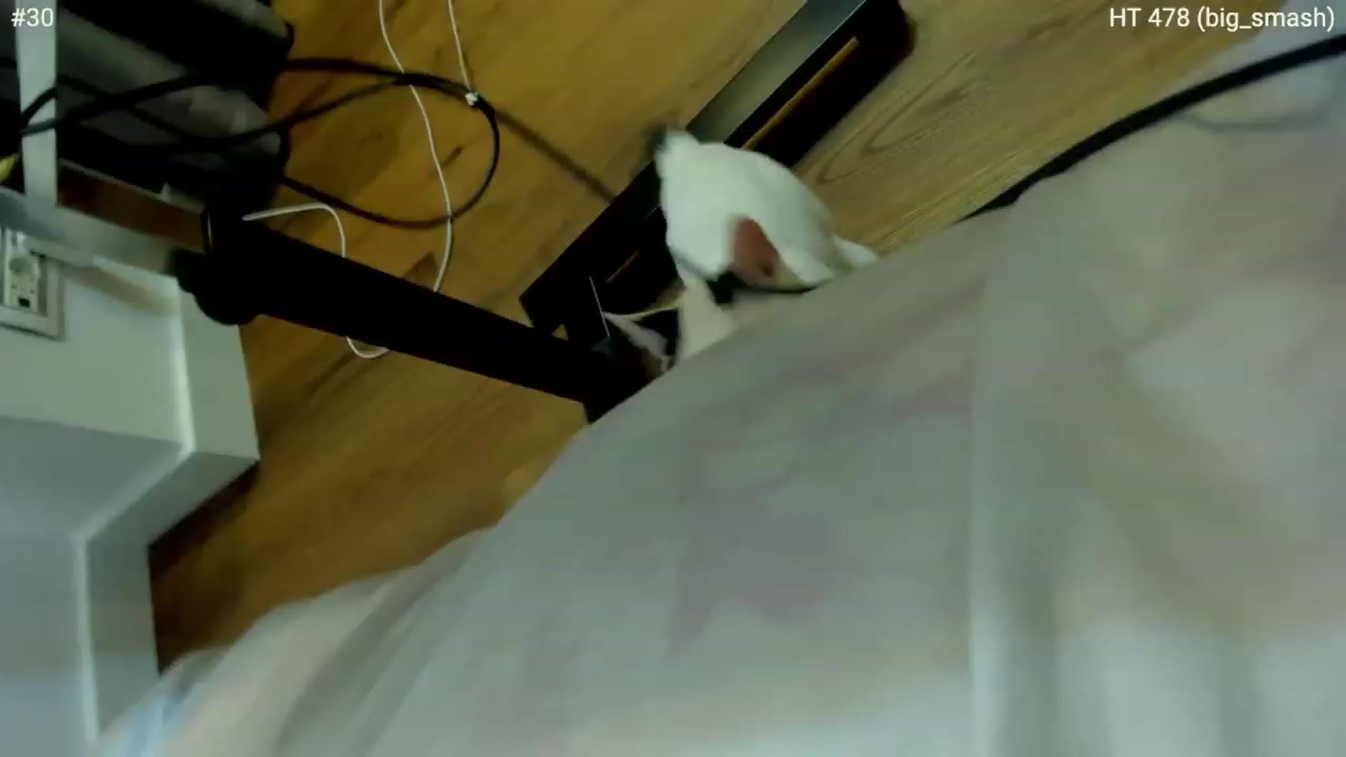 Gallery image thumbnail from girlboss's myfreecams stream on, 12/15/2022, 09:08 image 15 of 20