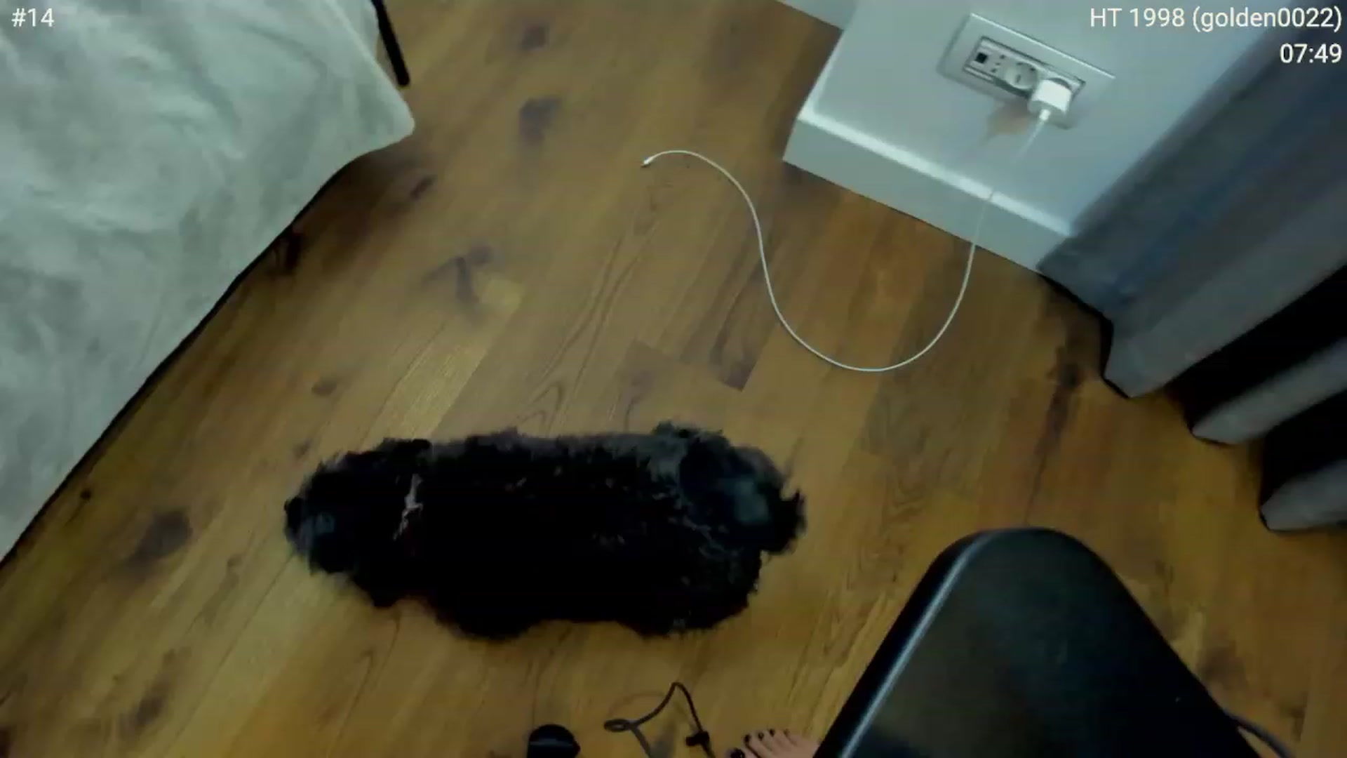 Gallery image thumbnail from girlboss's myfreecams stream on, 03/29/2023, 08:04 image 18 of 20