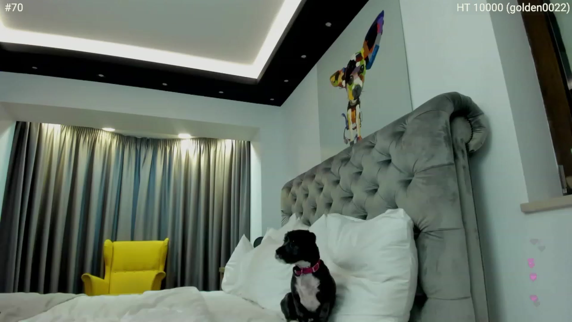 Gallery image thumbnail from girlboss's myfreecams stream on, 04/21/2023, 18:36 image 8 of 20
