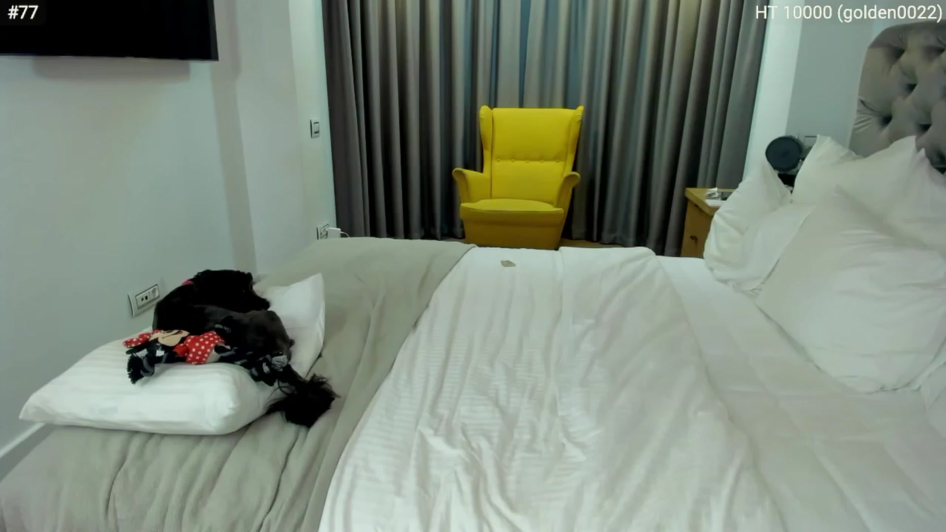 Gallery image thumbnail from girlboss's myfreecams stream on, 04/21/2023, 18:36 image 2 of 20