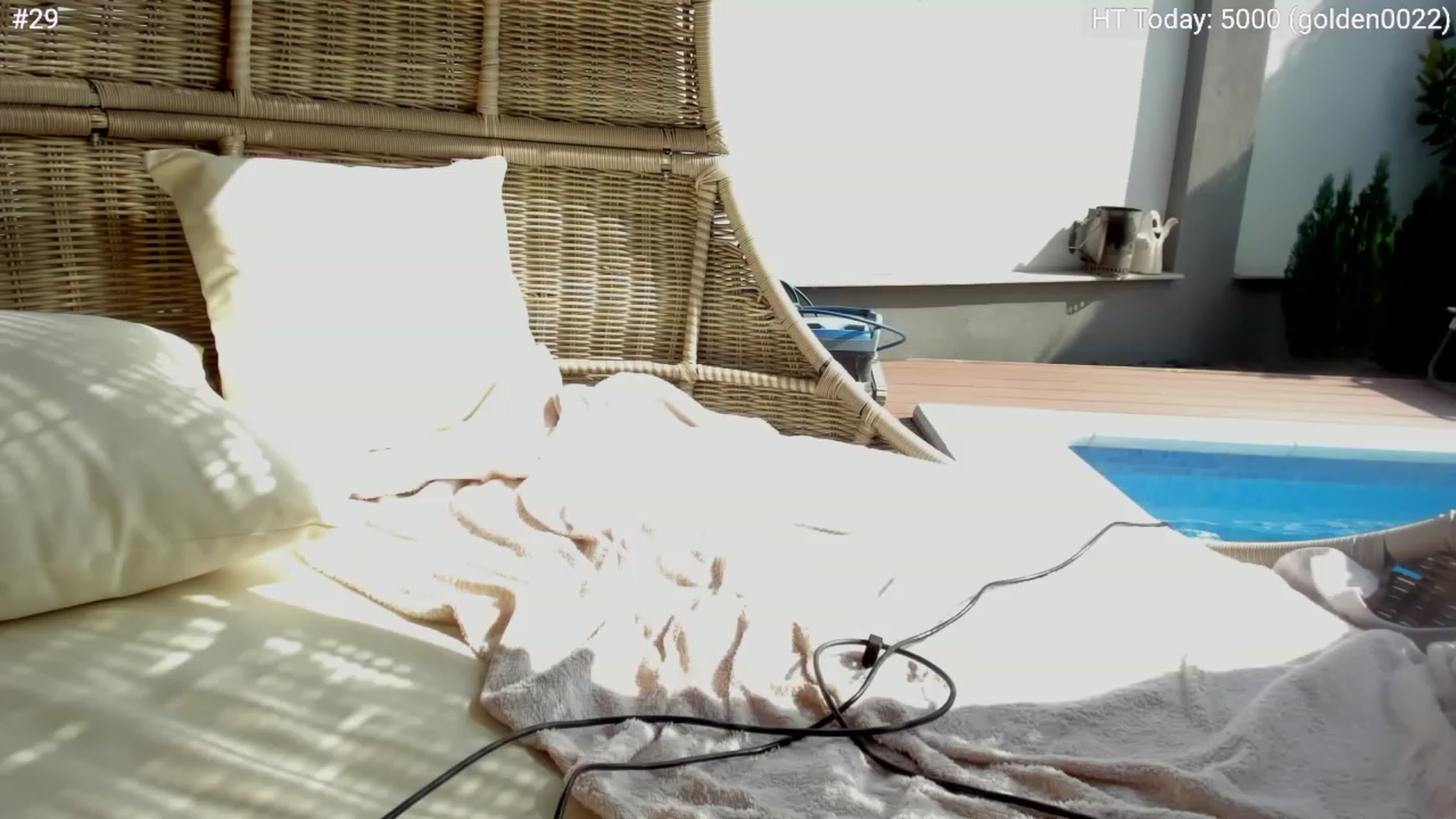 Gallery image thumbnail from girlboss's myfreecams stream on, 05/31/2023, 14:03 image 15 of 20