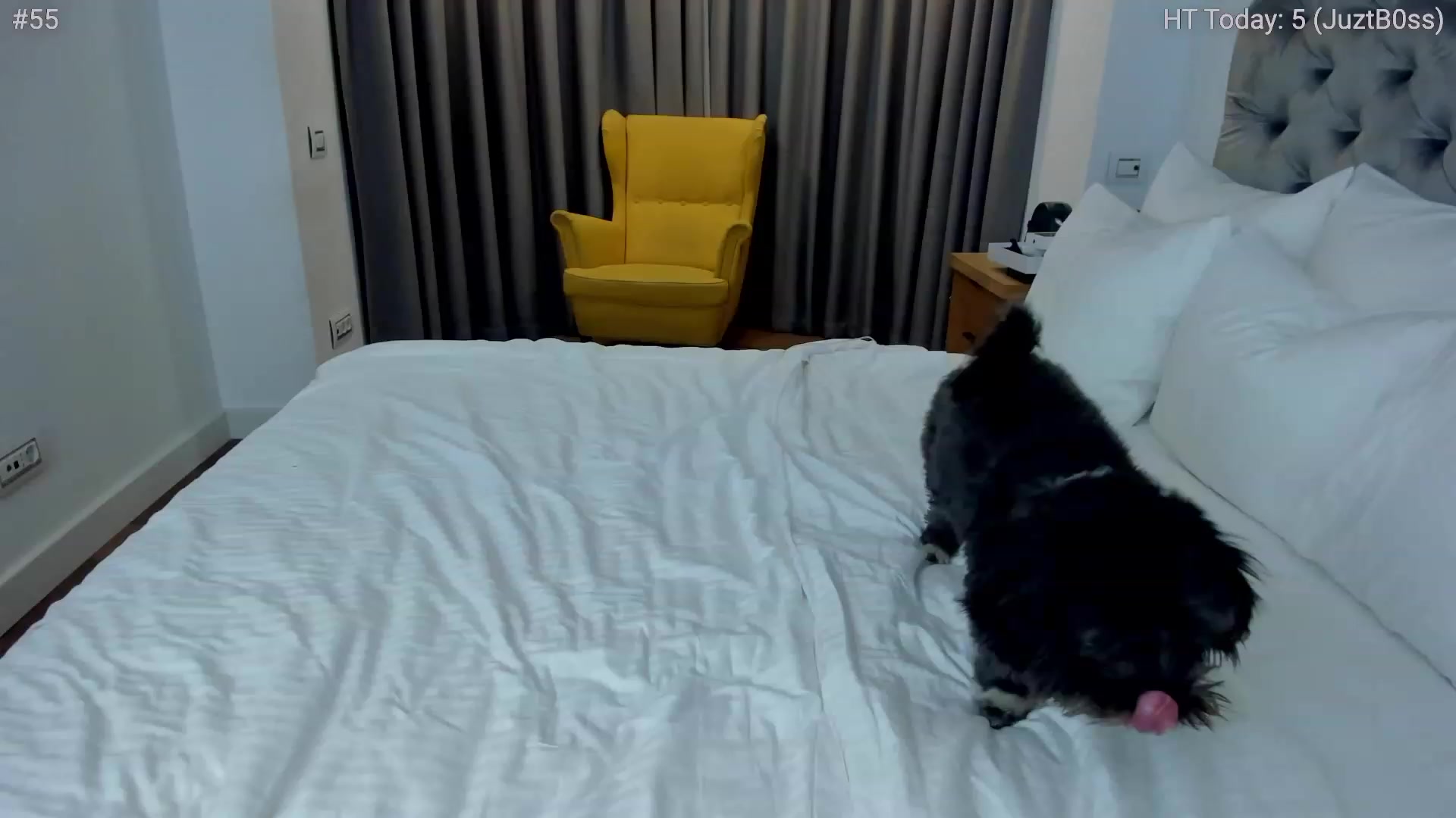 Gallery image thumbnail from girlboss's myfreecams stream on, 01/10/2024, 20:39 image 2 of 20
