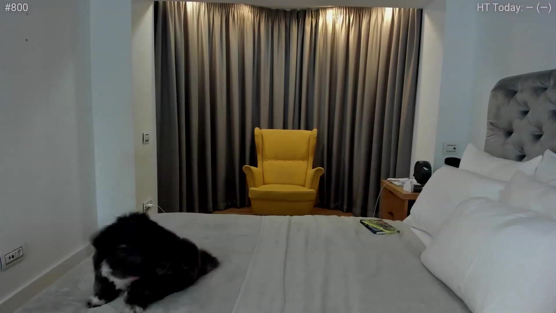 Gallery image thumbnail from girlboss's myfreecams stream on, 02/05/2024, 18:25 image 4 of 20
