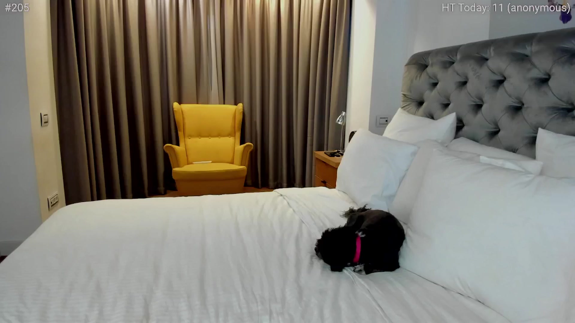 Gallery image thumbnail from girlboss's myfreecams stream on, 05/21/2024, 19:10 image 5 of 20