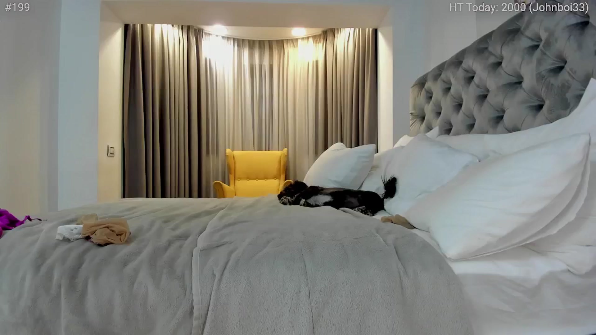 Gallery image thumbnail from girlboss's myfreecams stream on, 05/27/2024, 19:04 image 11 of 20