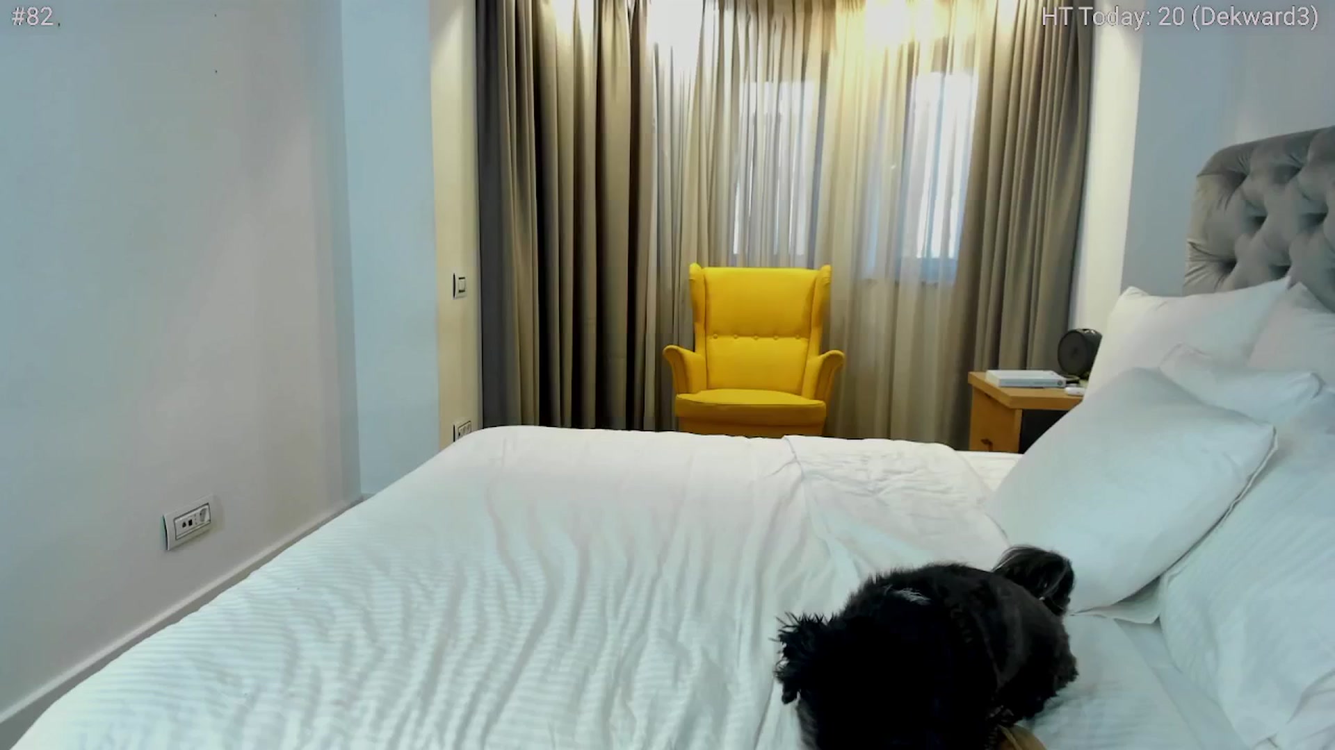 Gallery image thumbnail from girlboss's myfreecams stream on, 06/07/2024, 17:46 image 12 of 20