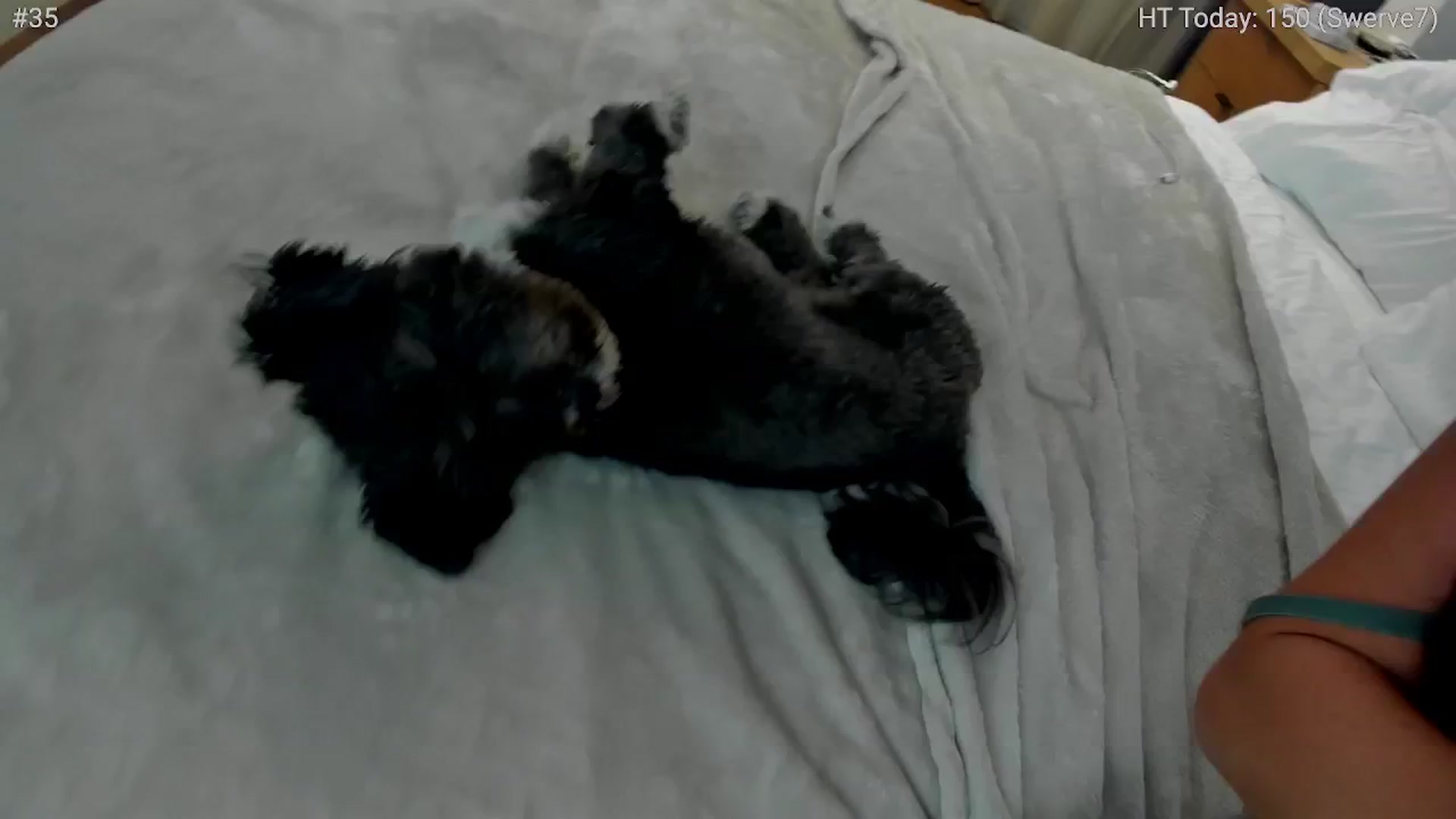 Gallery image thumbnail from girlboss's myfreecams stream on, 06/11/2024, 18:16 image 8 of 20