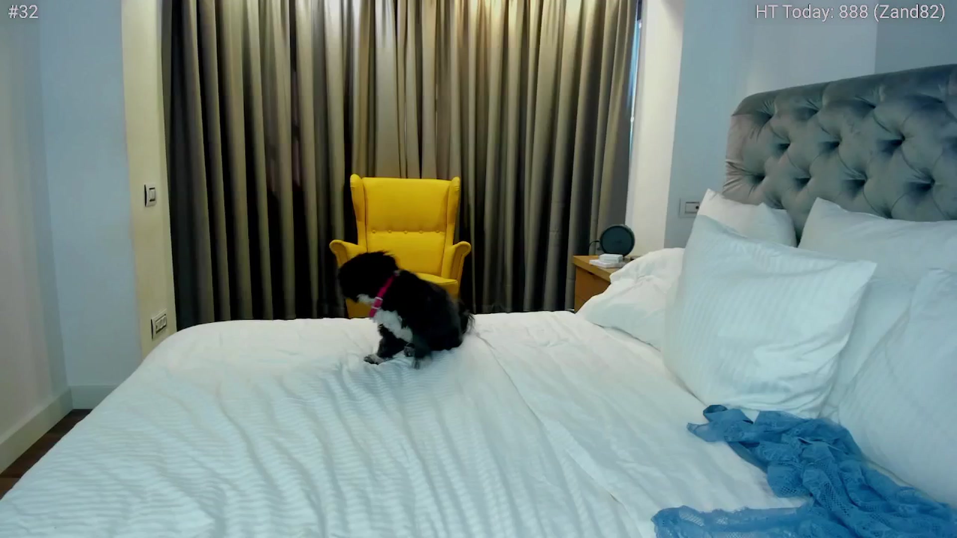 Gallery image thumbnail from girlboss's myfreecams stream on, 06/12/2024, 07:02 image 18 of 20