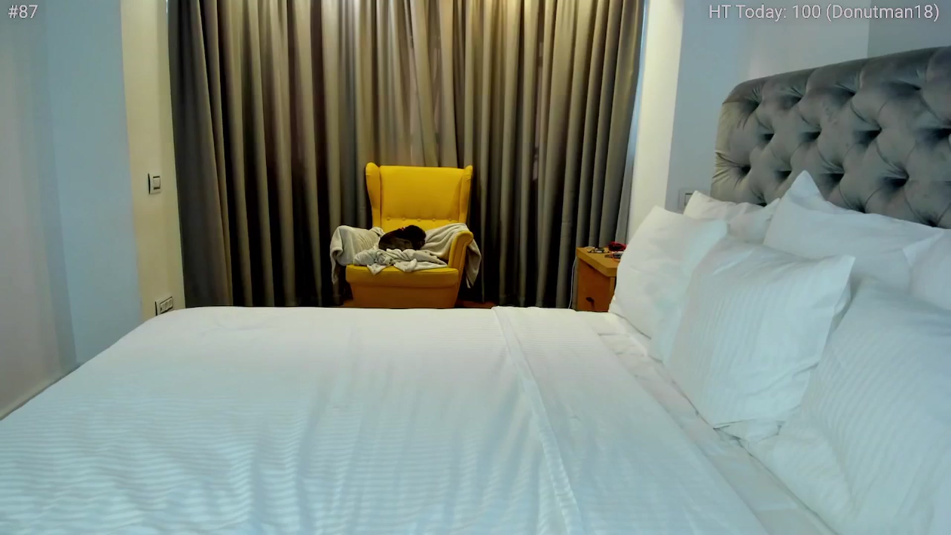 Gallery image thumbnail from girlboss's myfreecams stream on, 07/22/2024, 06:35 image 8 of 20