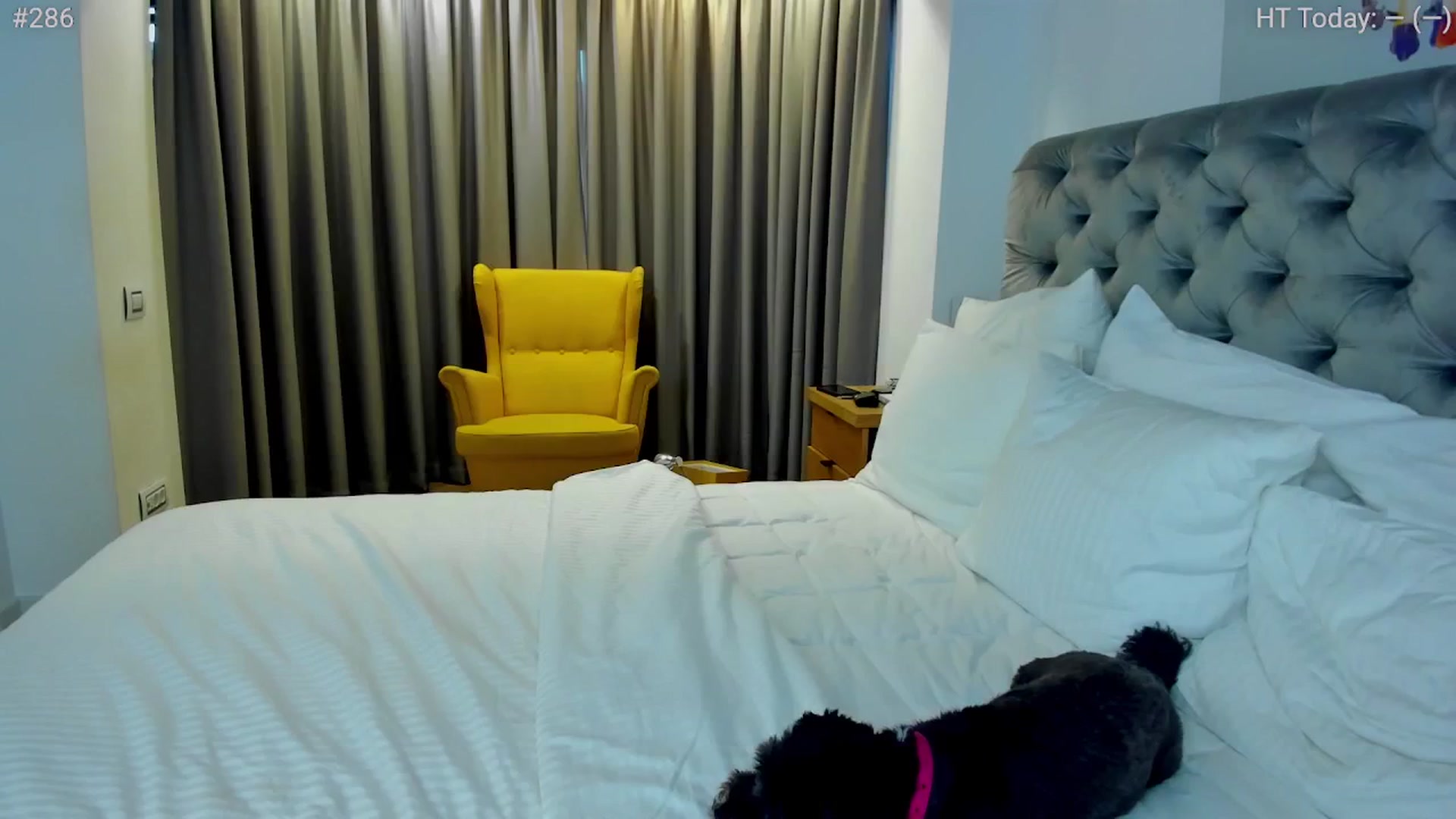 Gallery image thumbnail from girlboss's myfreecams stream on, 08/06/2024, 18:48 image 8 of 20