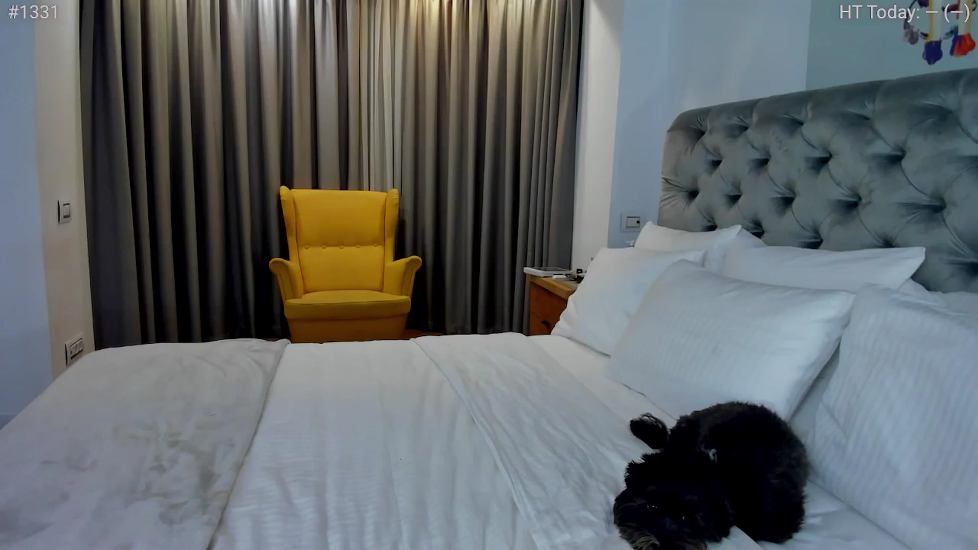 Gallery image thumbnail from girlboss's myfreecams stream on, 11/01/2024, 19:32 image 2 of 20