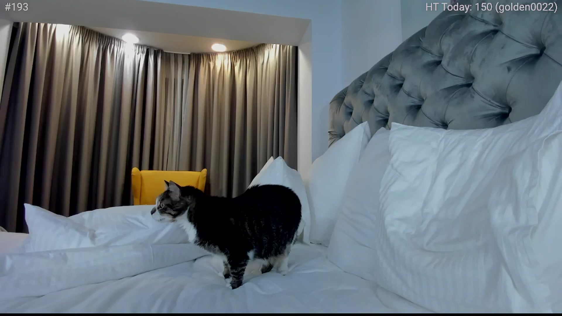 Gallery image thumbnail from girlboss's myfreecams stream on, 11/04/2024, 19:02 image 17 of 20