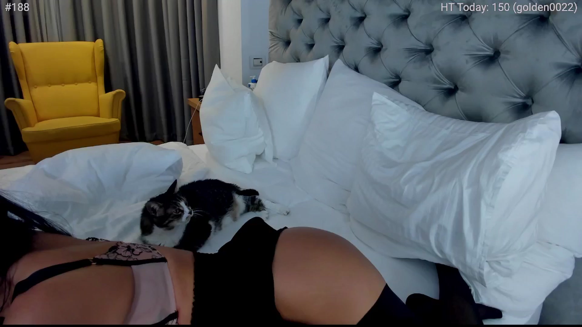 Gallery image thumbnail from girlboss's myfreecams stream on, 11/04/2024, 19:40 image 5 of 20