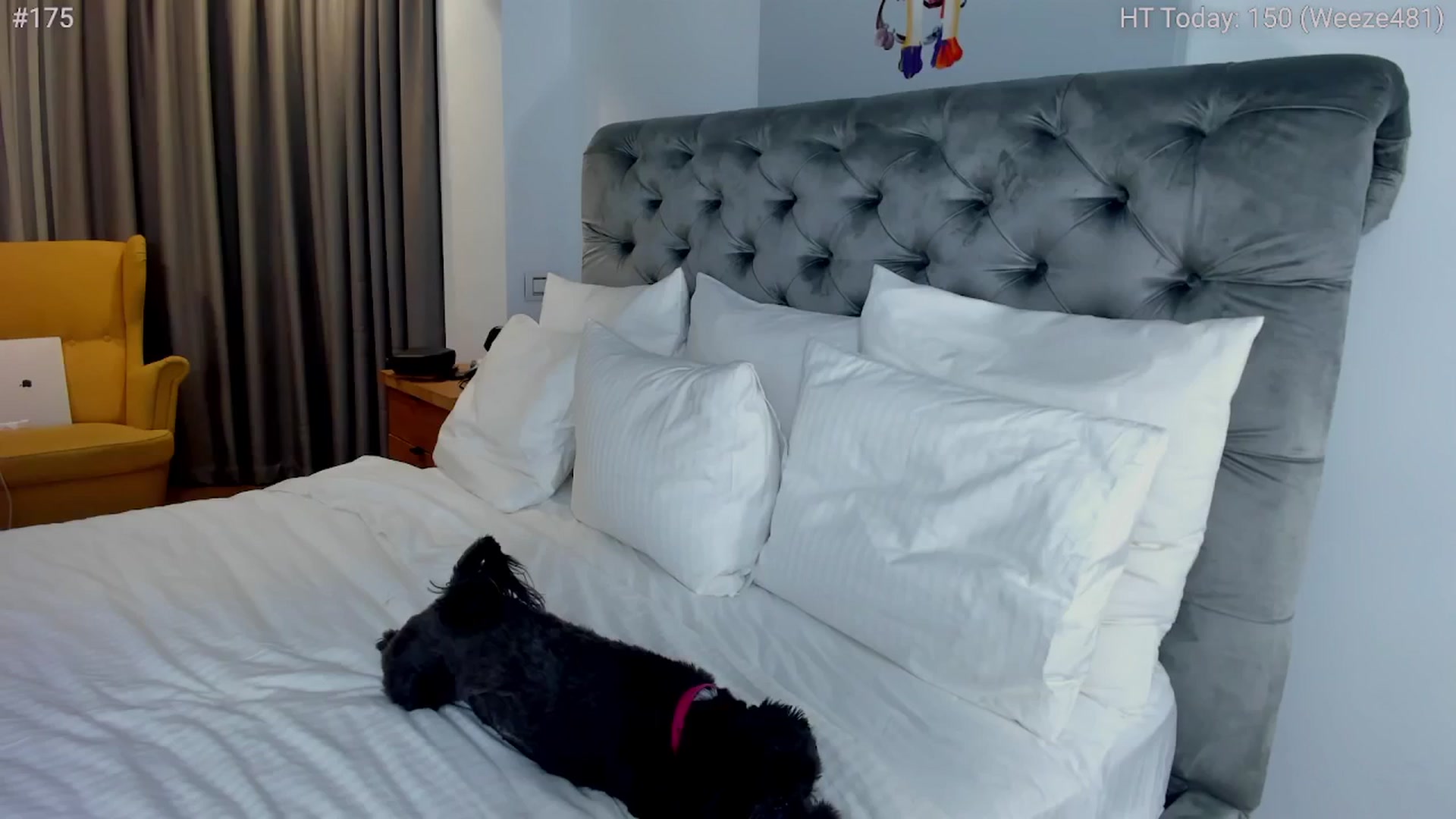 Gallery image thumbnail from girlboss's myfreecams stream on, 11/21/2024, 20:16 image 11 of 20