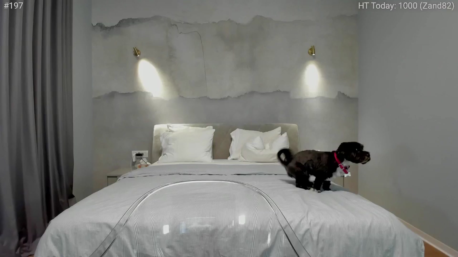 Gallery image thumbnail from girlboss's myfreecams stream on, 11/25/2024, 08:58 image 5 of 20