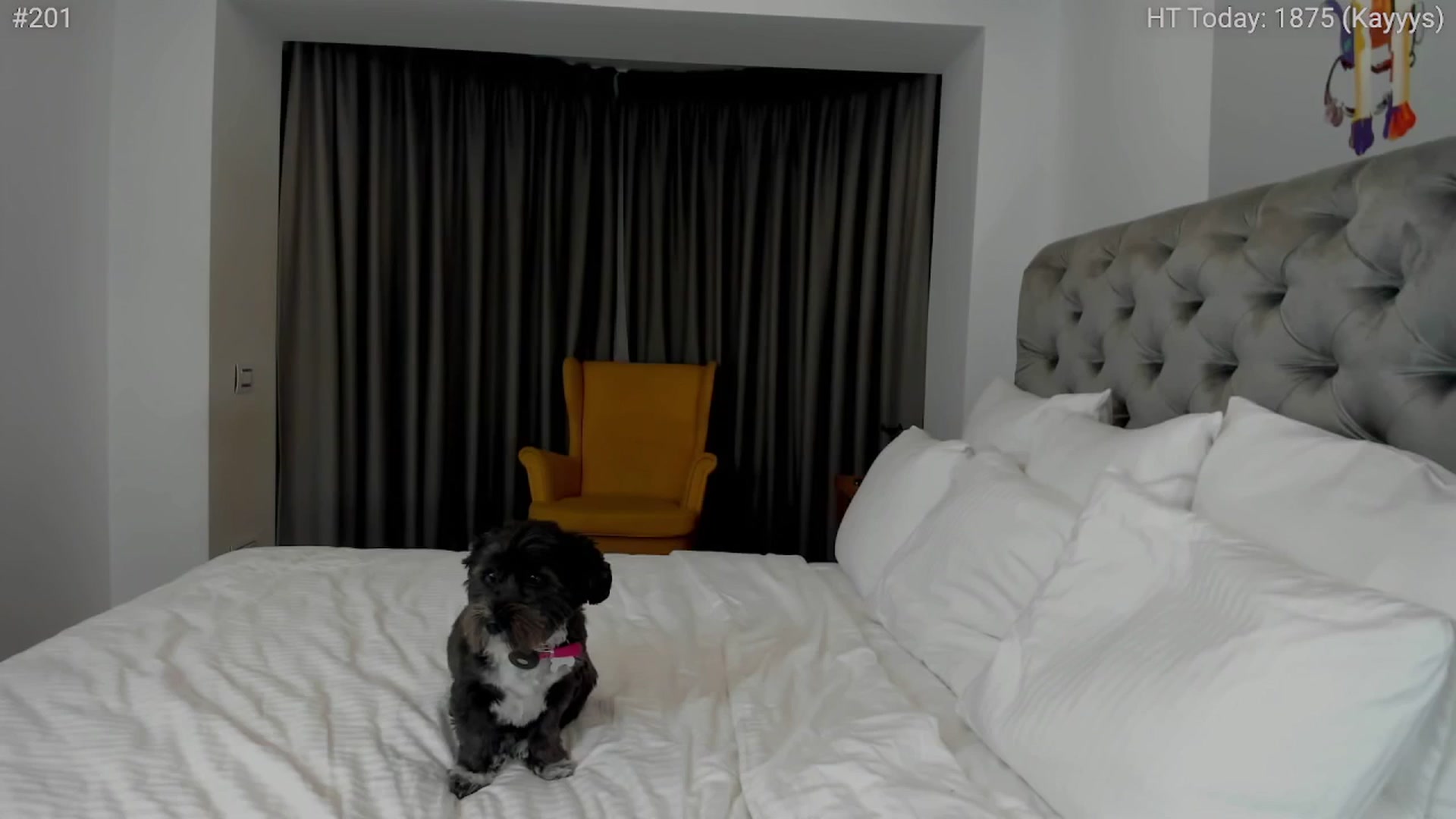 Gallery image thumbnail from girlboss's myfreecams stream on, 12/03/2024, 18:33 image 4 of 20