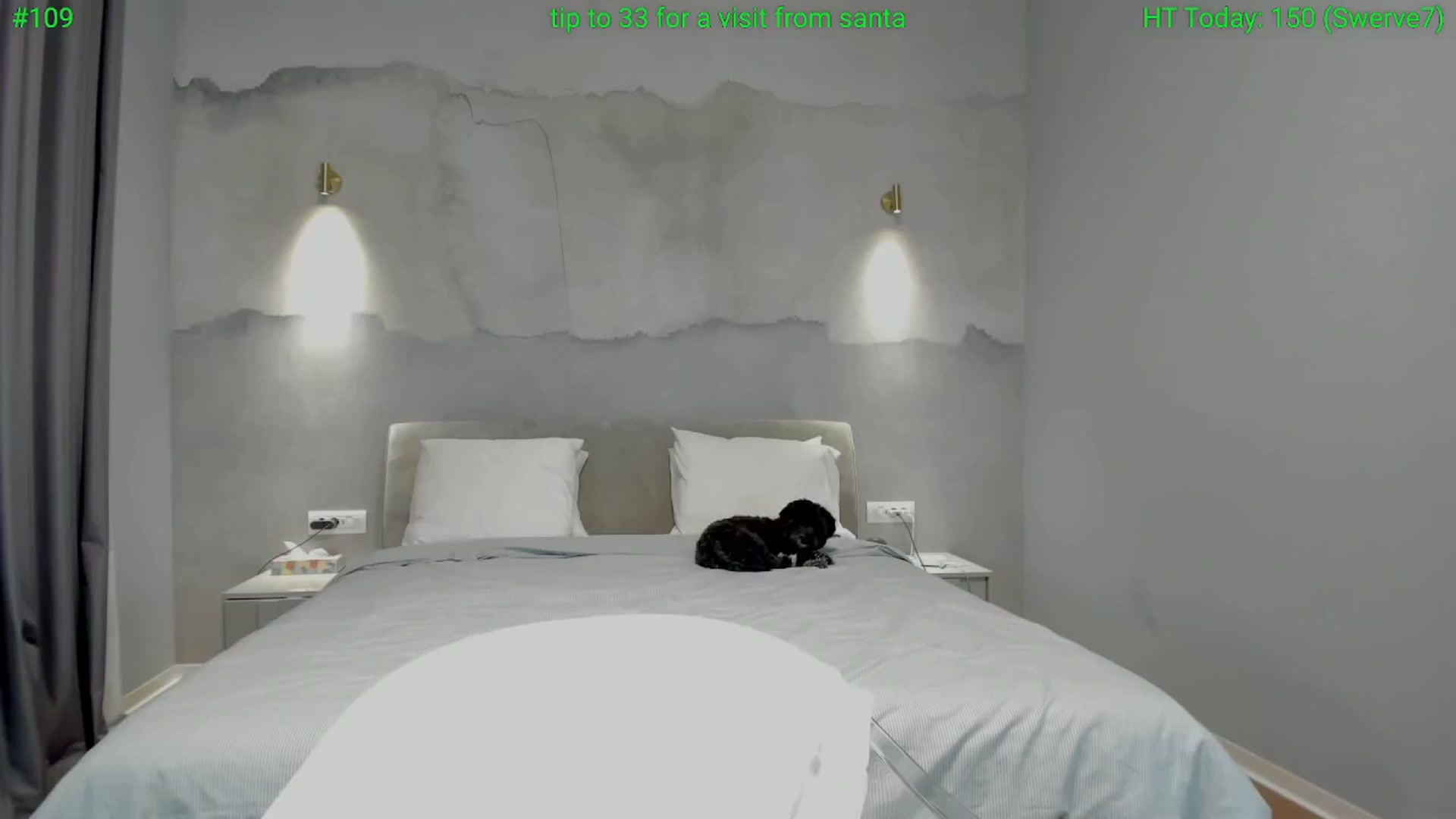 Gallery image thumbnail from girlboss's myfreecams stream on, 12/19/2024, 19:36 image 6 of 20