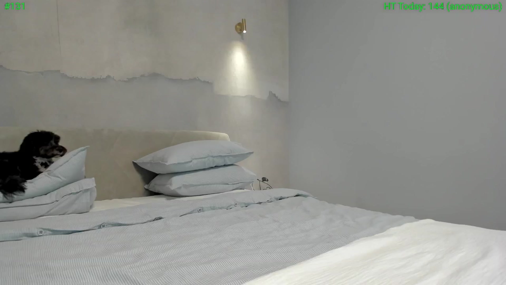 Gallery image thumbnail from girlboss's myfreecams stream on, 01/22/2025, 18:14 image 19 of 20