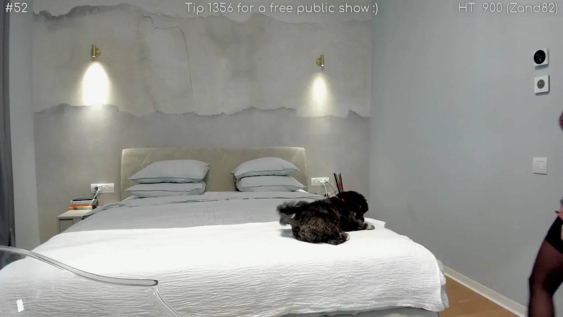 Gallery image thumbnail from girlboss's myfreecams stream on, 01/27/2025, 08:37 image 19 of 20