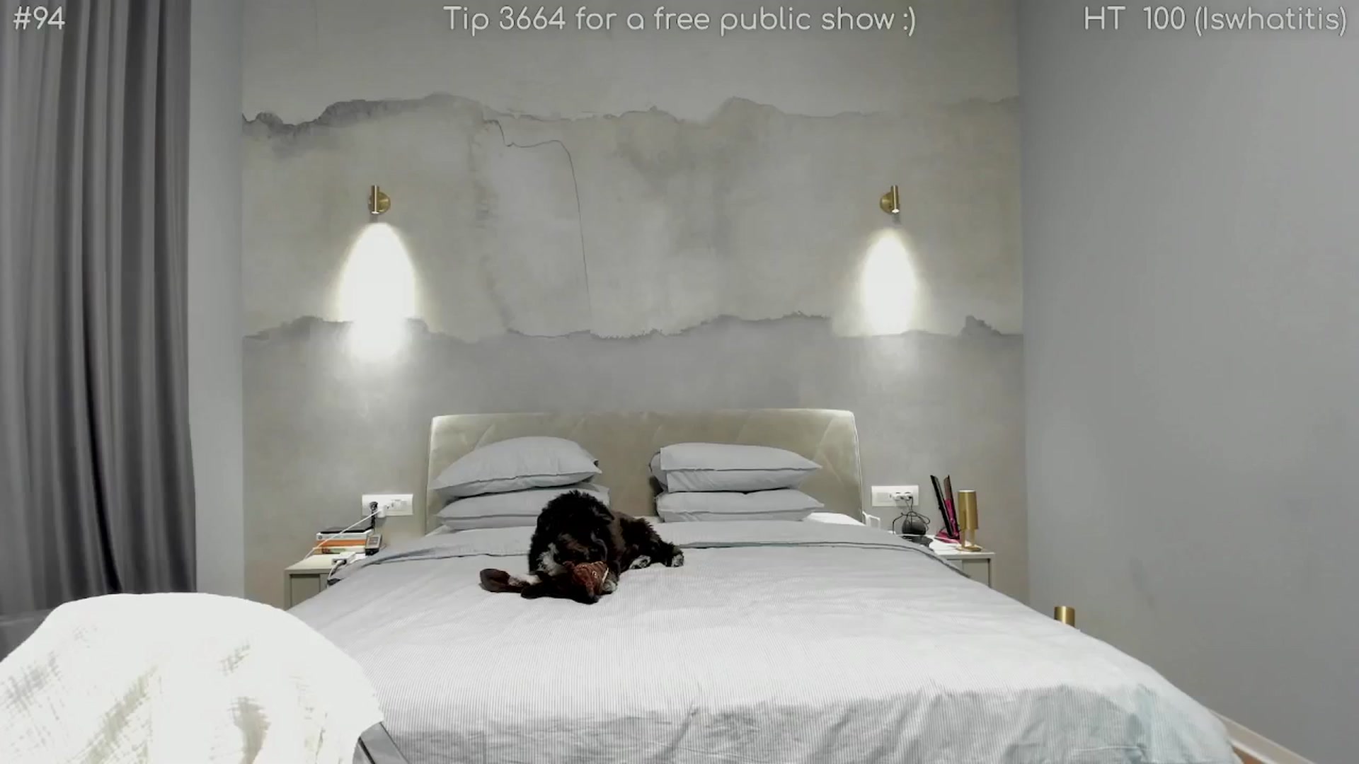 Gallery image thumbnail from girlboss's myfreecams stream on, 02/05/2025, 19:14 image 18 of 20