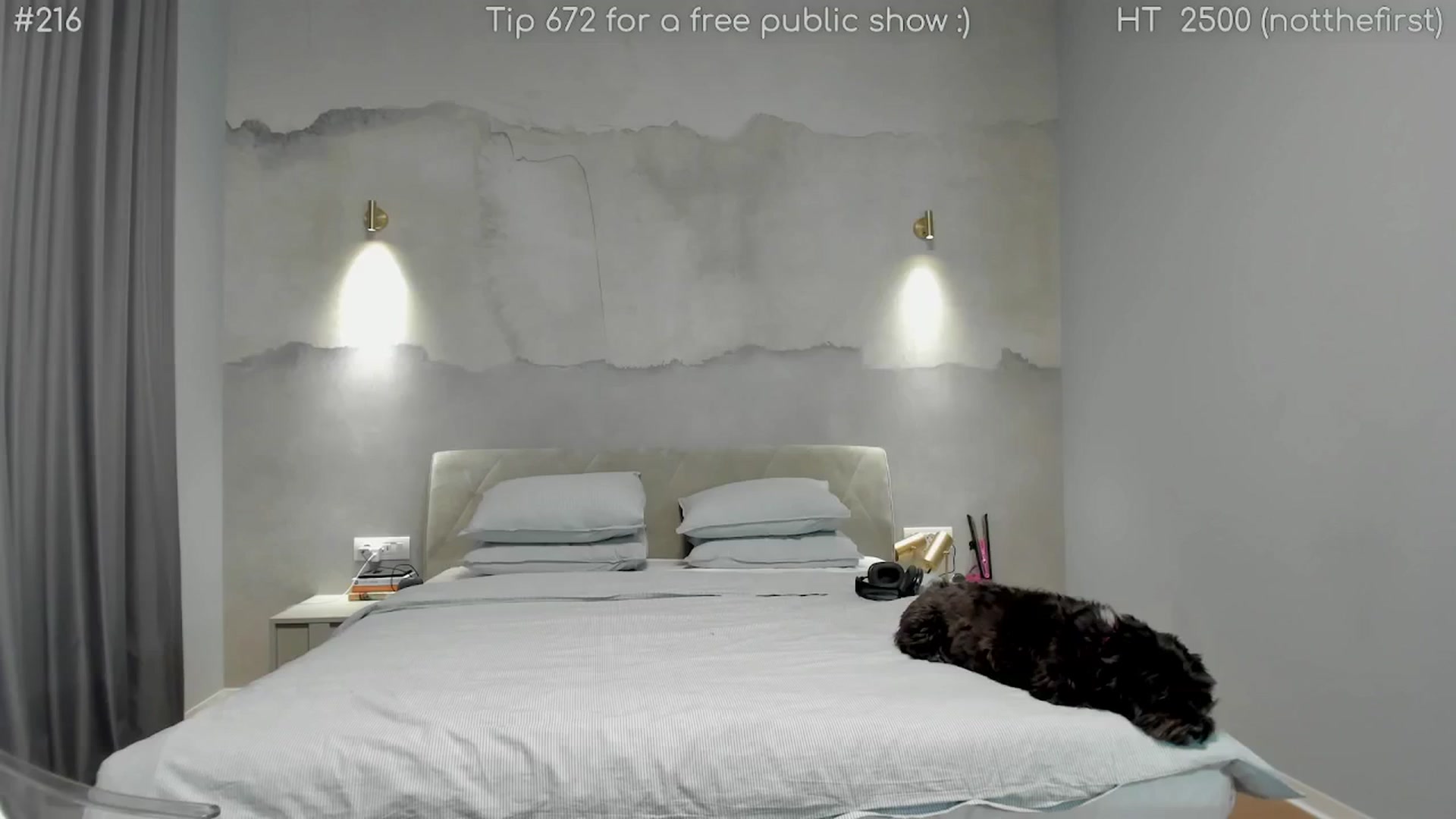 Gallery image thumbnail from girlboss's myfreecams stream on, 02/23/2025, 19:06 image 11 of 20