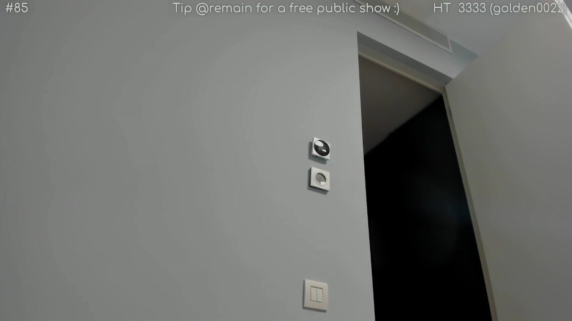 Gallery image thumbnail from girlboss's myfreecams stream on, 04/04/2025, 18:25 image 17 of 20