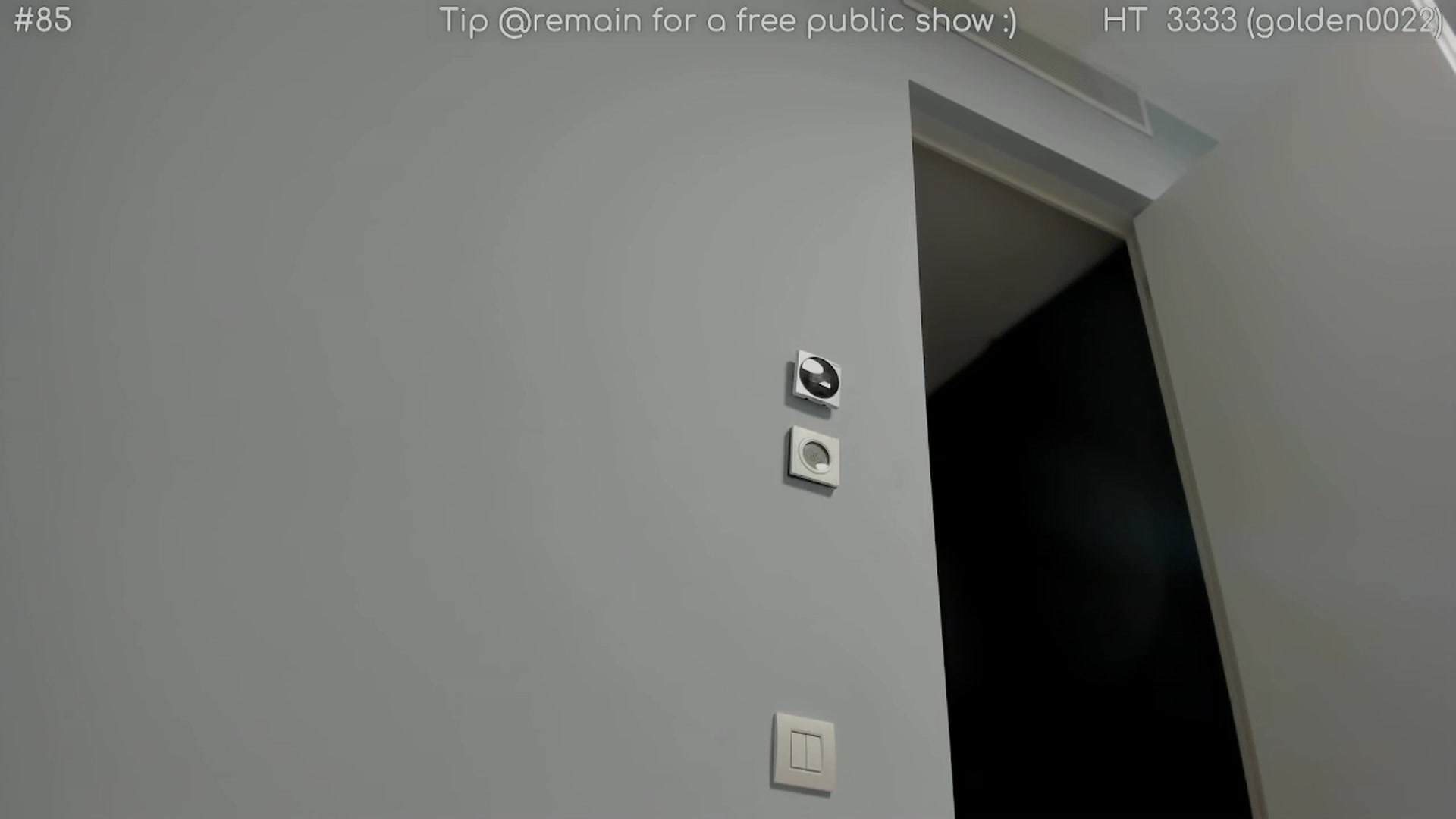 Gallery image thumbnail from girlboss's myfreecams stream on, 04/04/2025, 18:25 image 18 of 20