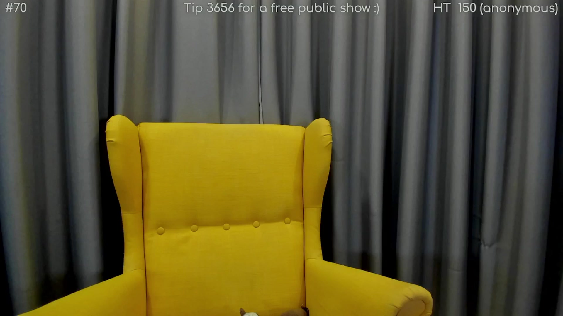 Gallery image thumbnail from girlboss's myfreecams stream on, 04/18/2025, 19:59 image 8 of 20