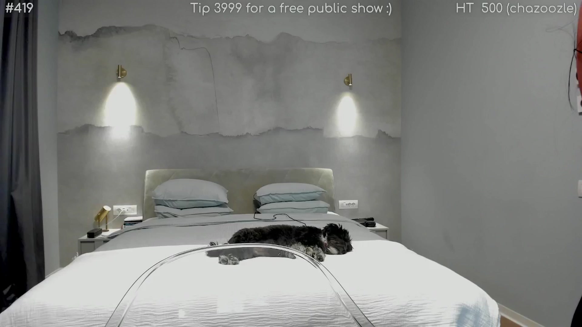 Gallery image thumbnail from girlboss's myfreecams stream on, 05/13/2025, 17:37 image 4 of 20