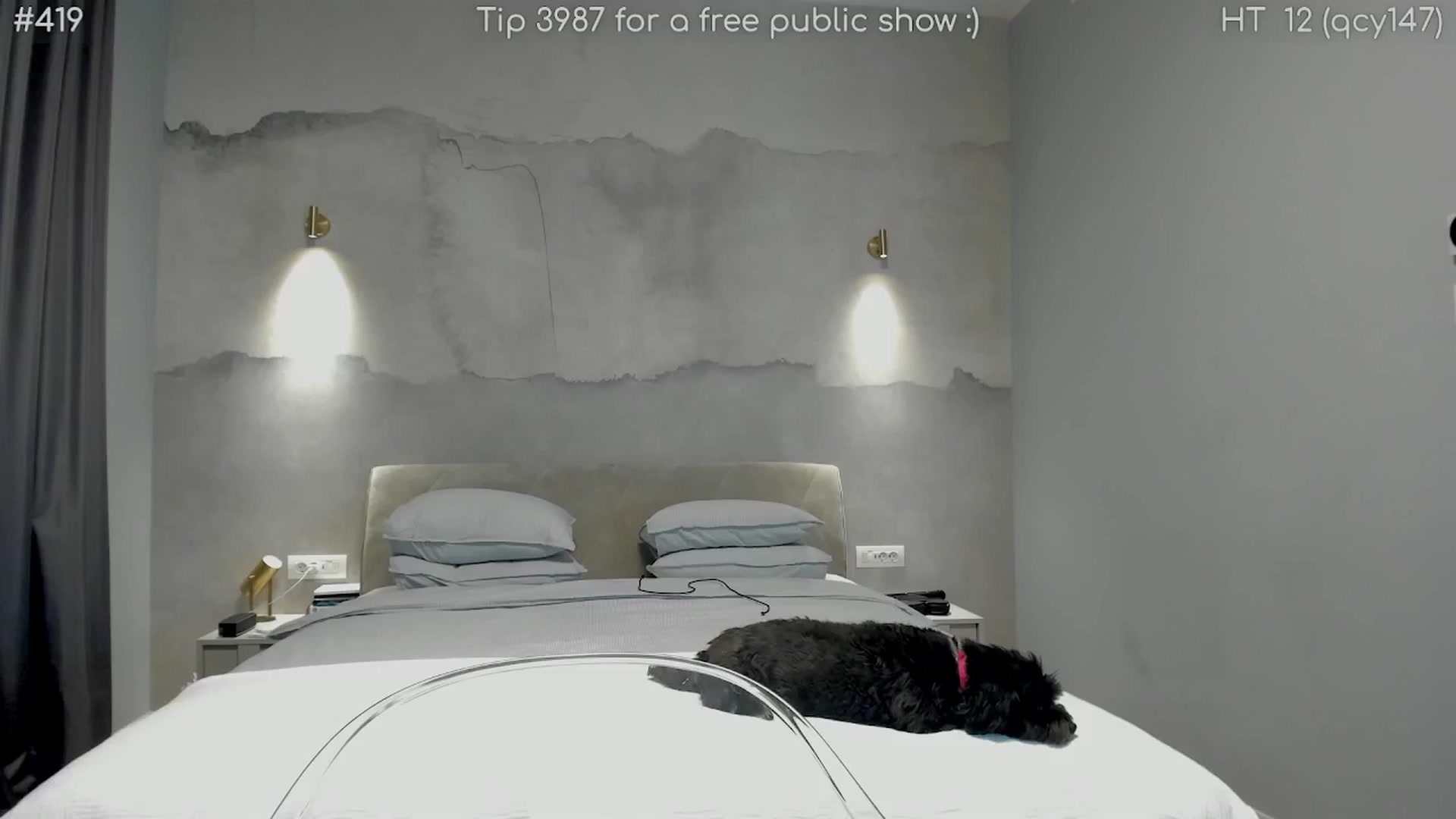 Gallery image thumbnail from girlboss's myfreecams stream on, 05/13/2025, 17:37 image 18 of 20
