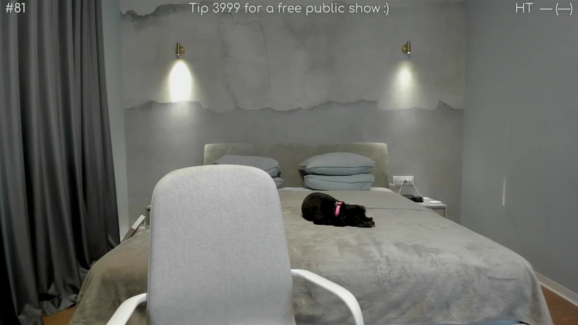 Gallery image thumbnail from girlboss's myfreecams stream on, 06/11/2025, 17:35 image 6 of 20