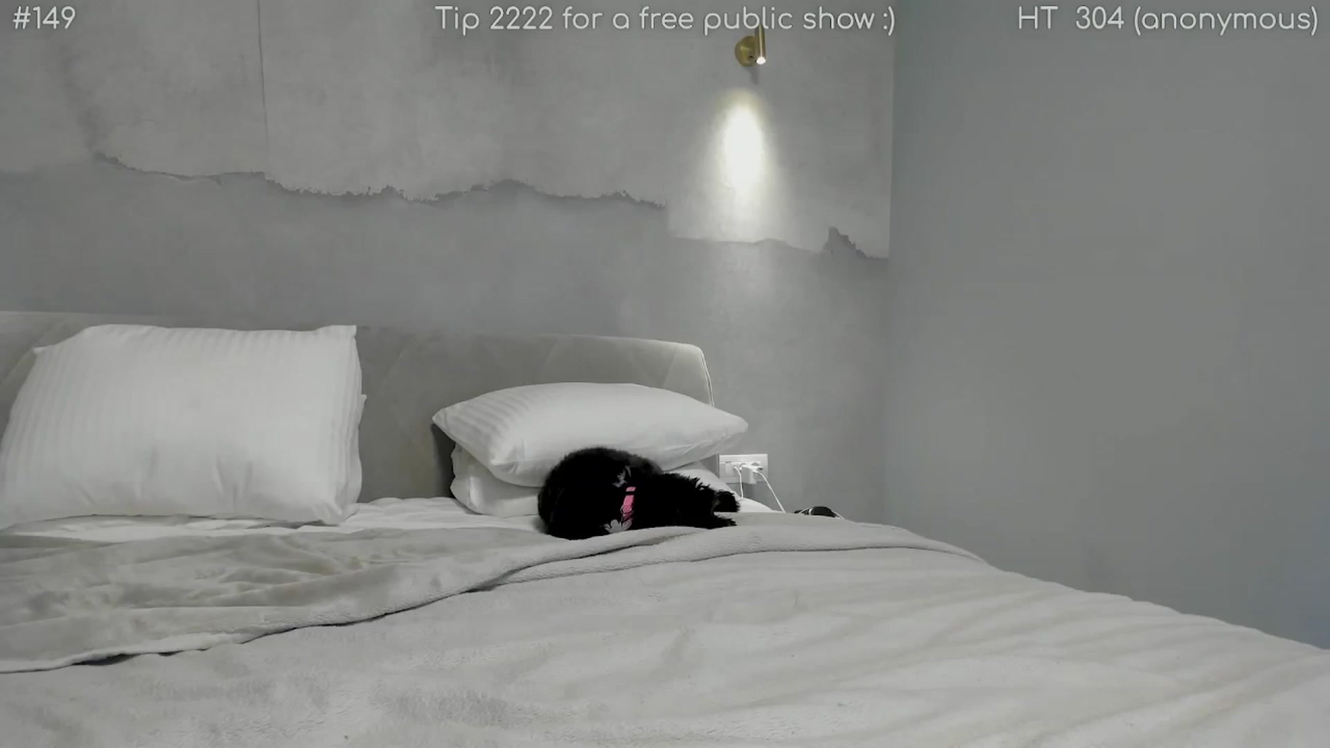 Gallery image thumbnail from girlboss's myfreecams stream on, 07/24/2025, 20:35 image 19 of 20