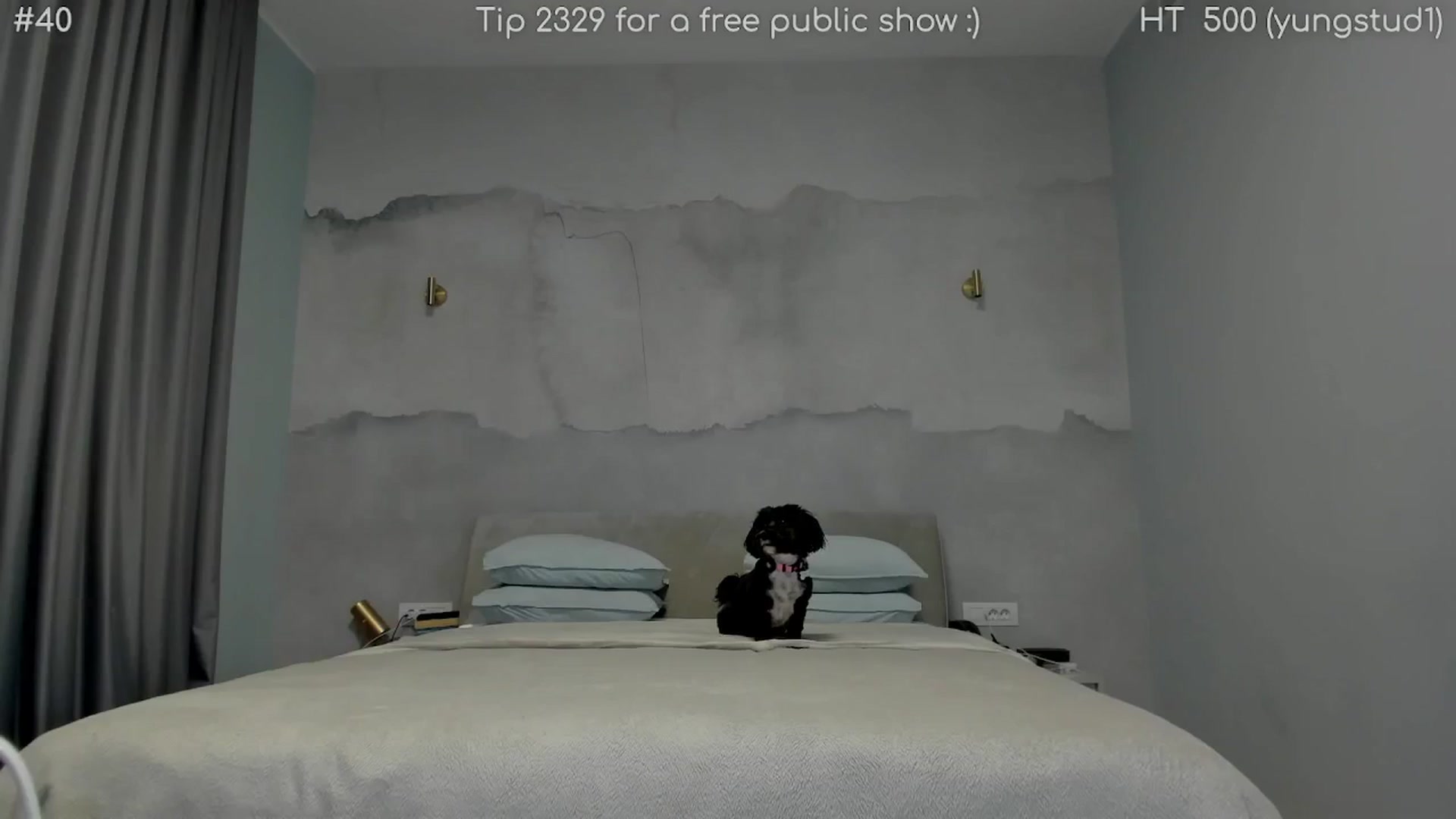 Gallery image thumbnail from girlboss's myfreecams stream on, 08/27/2025, 20:46 image 17 of 20