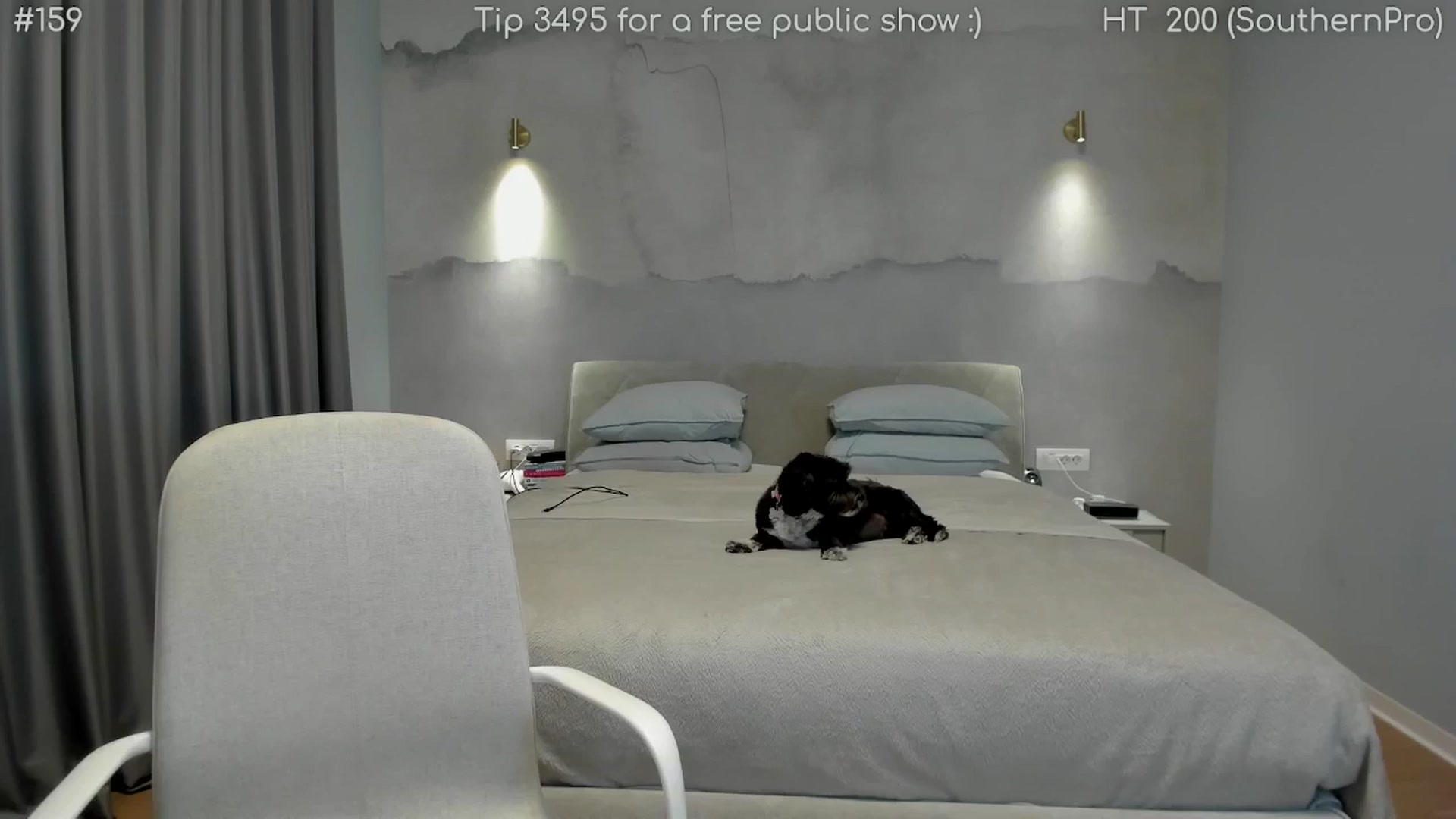Gallery image thumbnail from girlboss's myfreecams stream on, 09/18/2025, 19:54 image 10 of 20