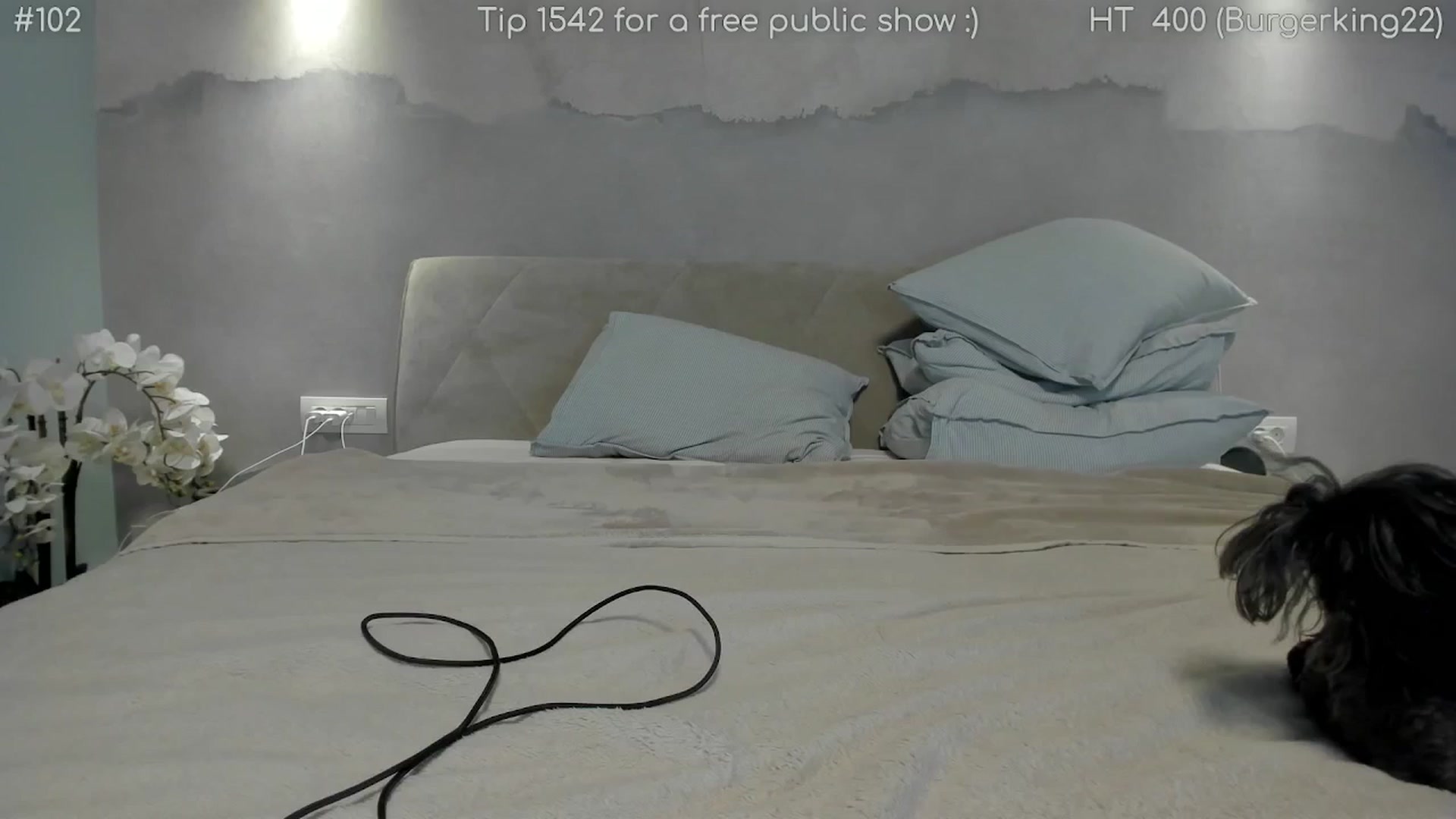 Gallery image thumbnail from girlboss's myfreecams stream on, 10/23/2025, 19:53 image 7 of 20