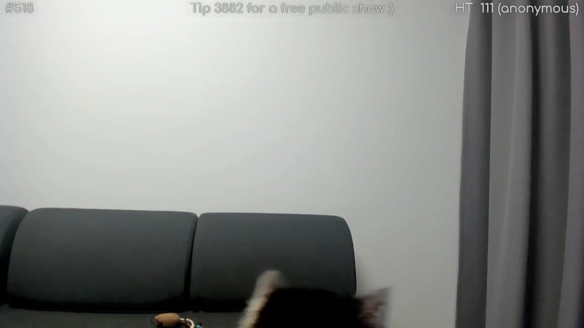 Gallery image thumbnail from girlboss's myfreecams stream on, 11/04/2025, 21:46 image 10 of 20