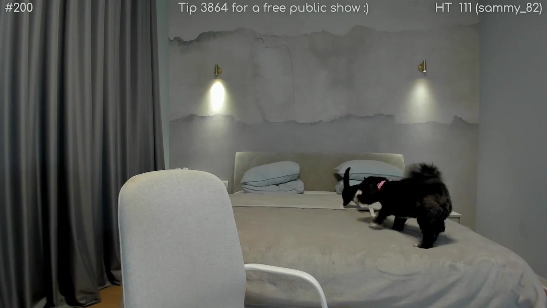 Gallery image thumbnail from girlboss's myfreecams stream on, 11/07/2025, 20:57 image 15 of 20