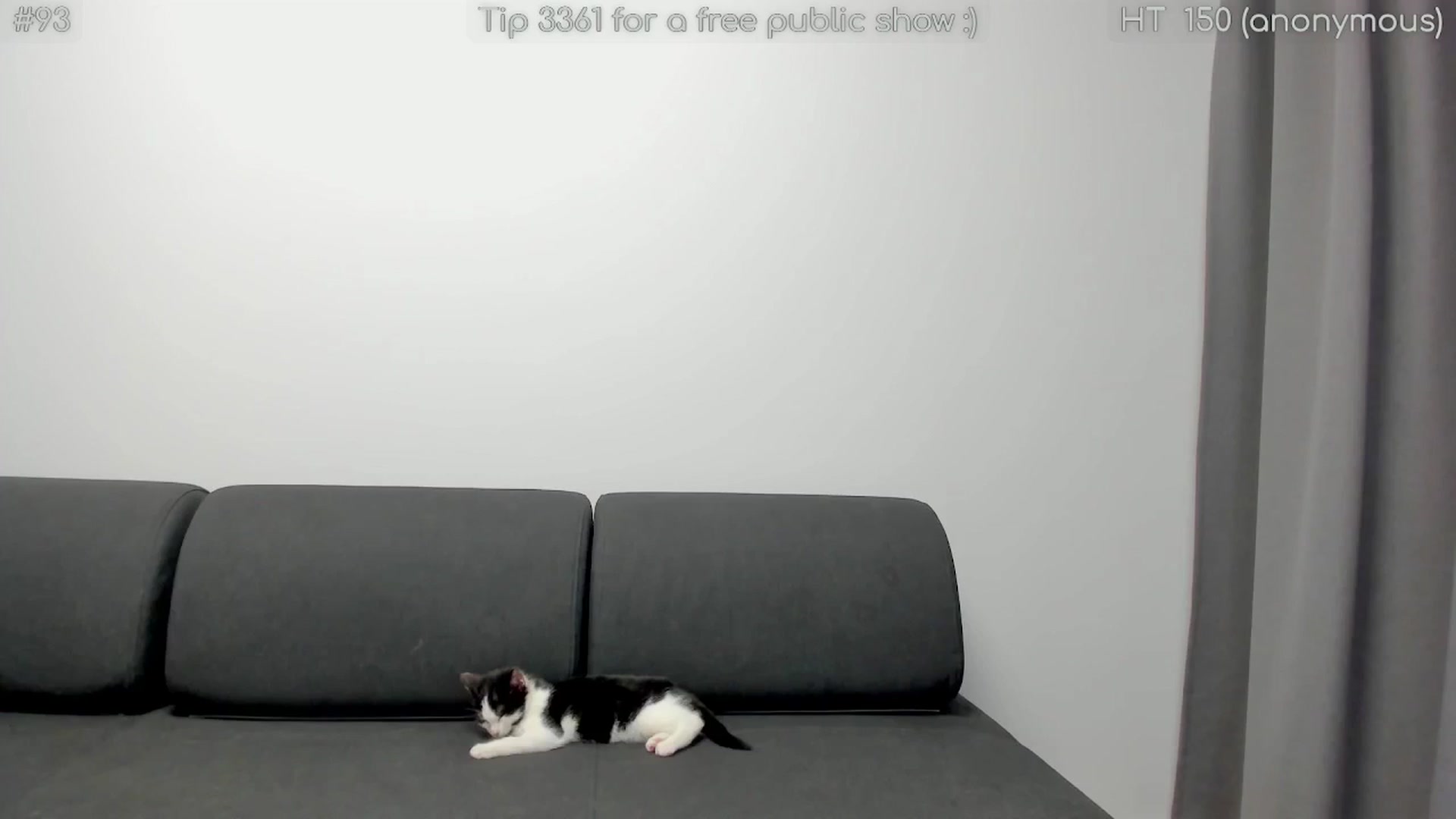 Gallery image thumbnail from girlboss's myfreecams stream on, 11/13/2025, 20:52 image 6 of 20