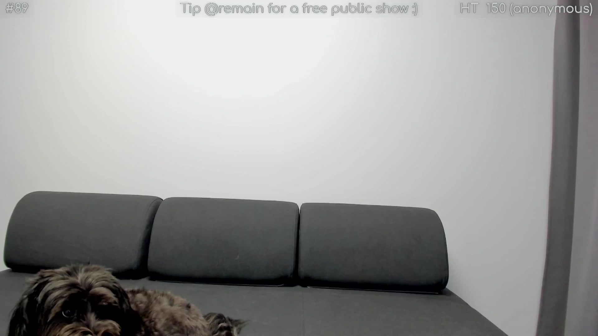 Gallery image thumbnail from girlboss's myfreecams stream on, 11/13/2025, 21:30 image 15 of 20
