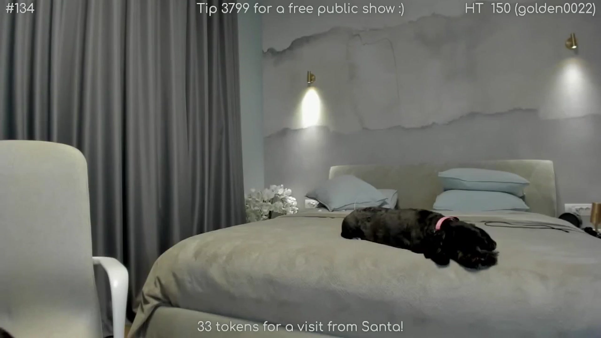 Gallery image thumbnail from girlboss's myfreecams stream on, 12/10/2025, 20:11 image 2 of 20
